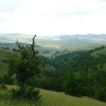 Parkovi prirode u Srbiji