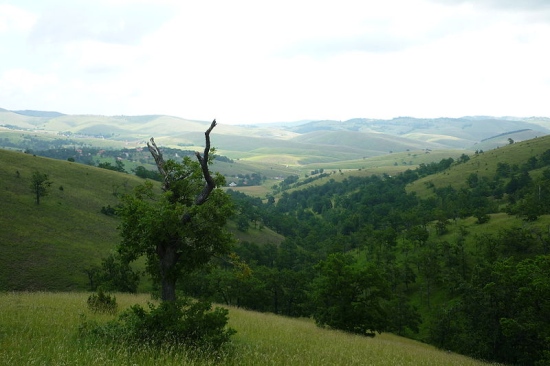 Parkovi prirode u Srbiji