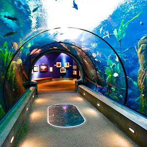 Najljepši svjetski akvariji