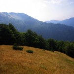 Nacionalni park Biogradska gora
