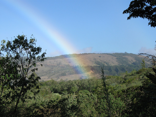 Monteverde, jedno od 7 svjetskih čuda Kostarike