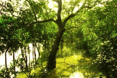 Nacionalni park Sundarbans
