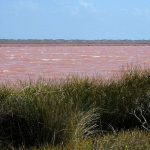 Ružičasta jezera